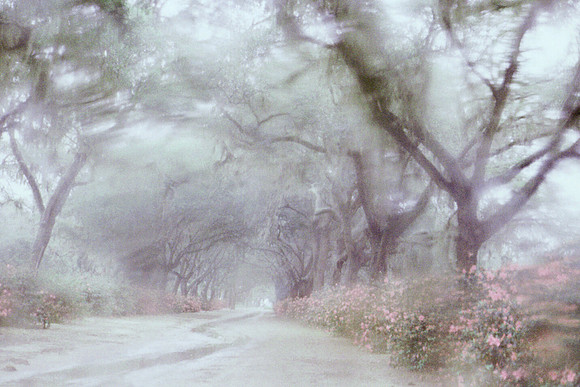 Gateway to Dreams