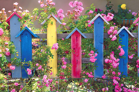 Birdhouse Fence