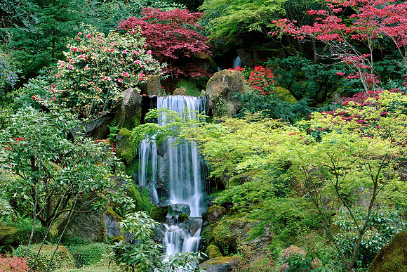 Heavenly Falls