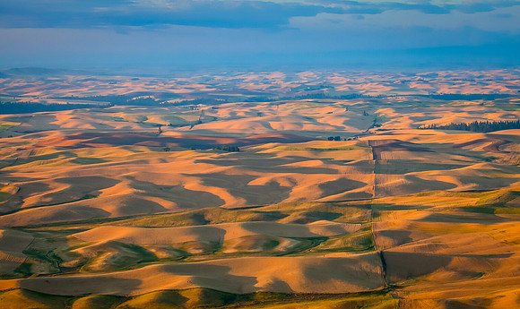 Golden Hills