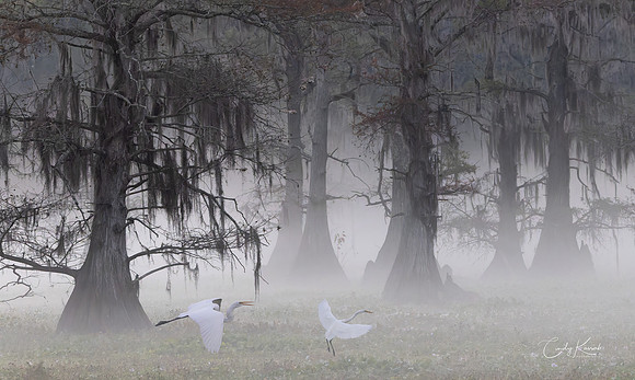When Morning Hangs It Veil