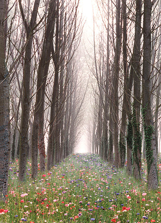 Pathway to Infinity