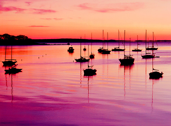 Boats at Camden, Maine