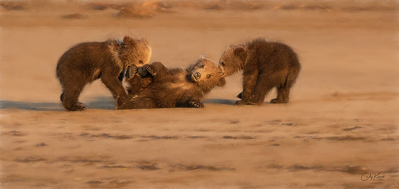 Cub of War