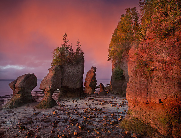 Hopewell Rocks