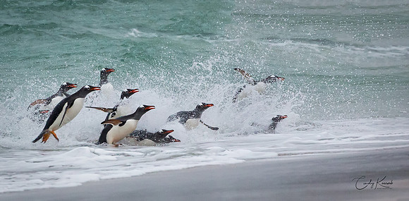 Rush Hour