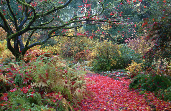 Crimson Pathway