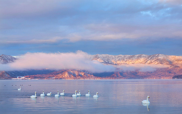Morning Serenity